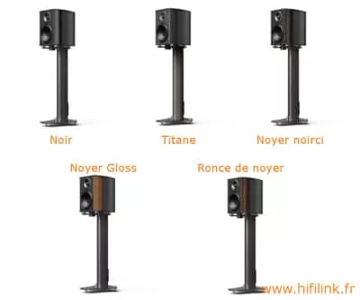 wilson benesch vertex finitions