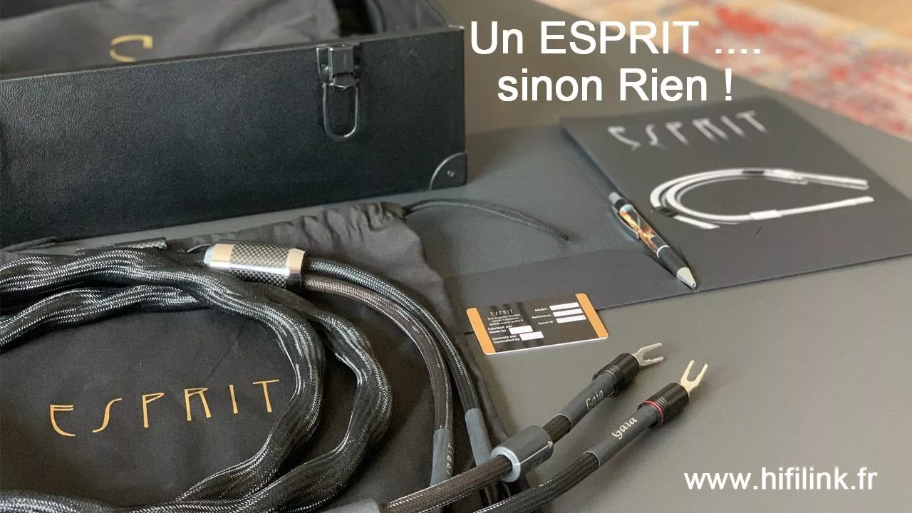 cable esprit gaia 2020 hifi link