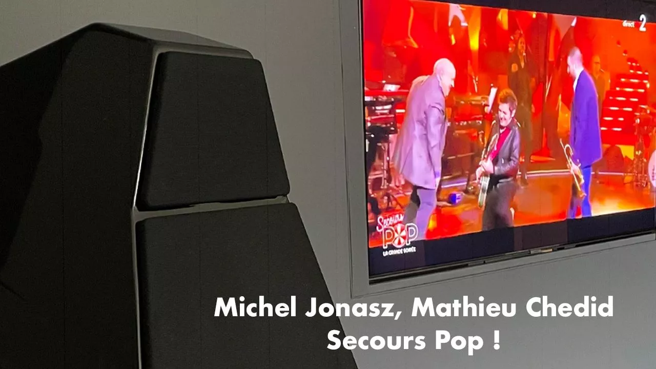 Michel Jonasz Matthieu Chedid Secours Pop France 2