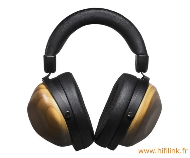 hifiman he-r10d face