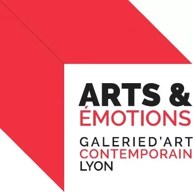 galerie arts et emotions art contemportain lyon