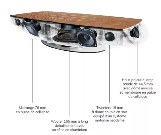 sonus faber omnia