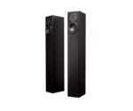 Totem Acoustic Arro