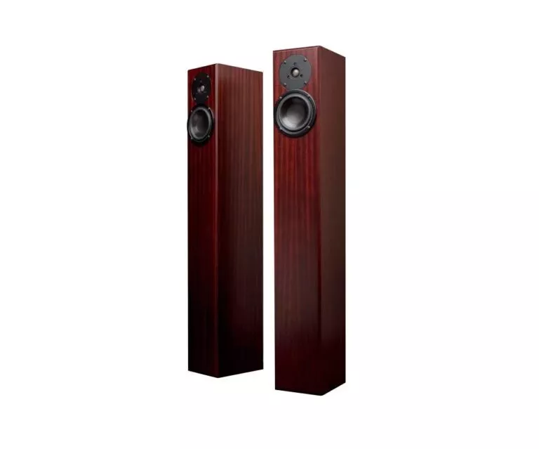 Totem Acoustic Arro bois