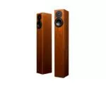 Totem Acoustic Arro marron