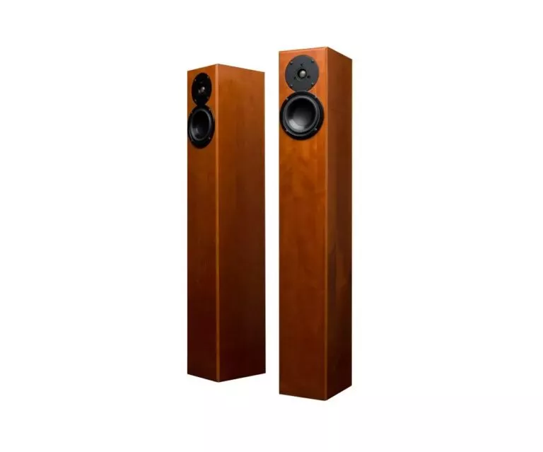 Totem Acoustic Arro marron