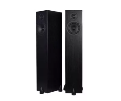 Totem Acoustic Bison Tower noir