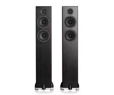 Totem Acoustic Bison Twin Tower