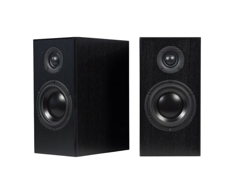 Totem acoustic bison monitor