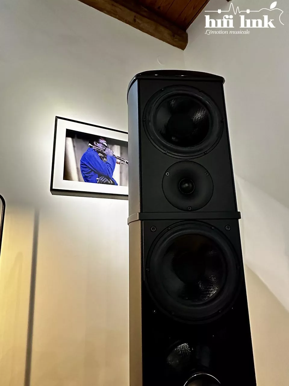 installation hifi haut de gamme karan et wilson