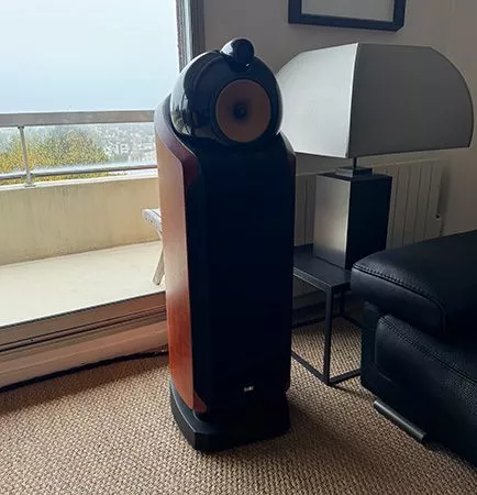 Bowers & Wilkins 802 D (VENDU)