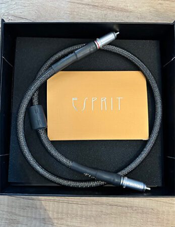 Esprit Eterna SPDIF 1m (VENDU)