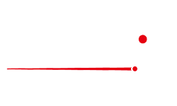 ds audio description