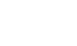 dynaudio description