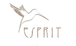 esprit description