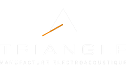 logo triangle description