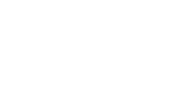trinnov description