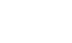 viard audio description