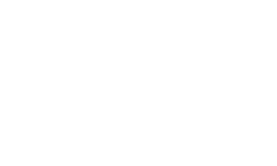 viard audio description