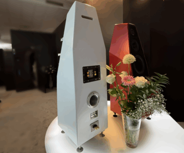 wilson audio sabrina V connectique