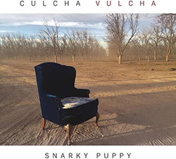 Snarky Puppy